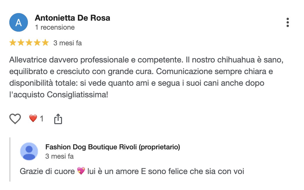 Recensione cliente Fashion Dog Boutique • Rivoli