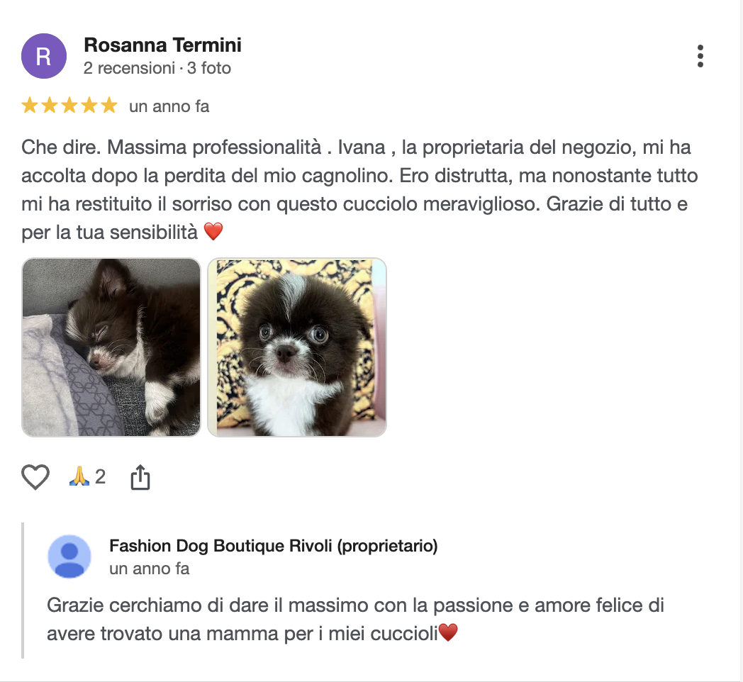 Recensione cliente Fashion Dog Boutique • Rivoli