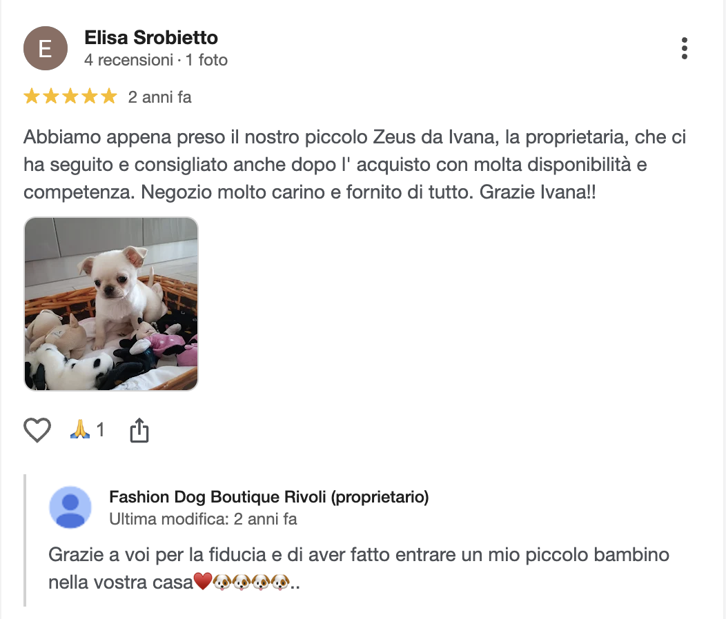 Recensione cliente Fashion Dog Boutique • Rivoli