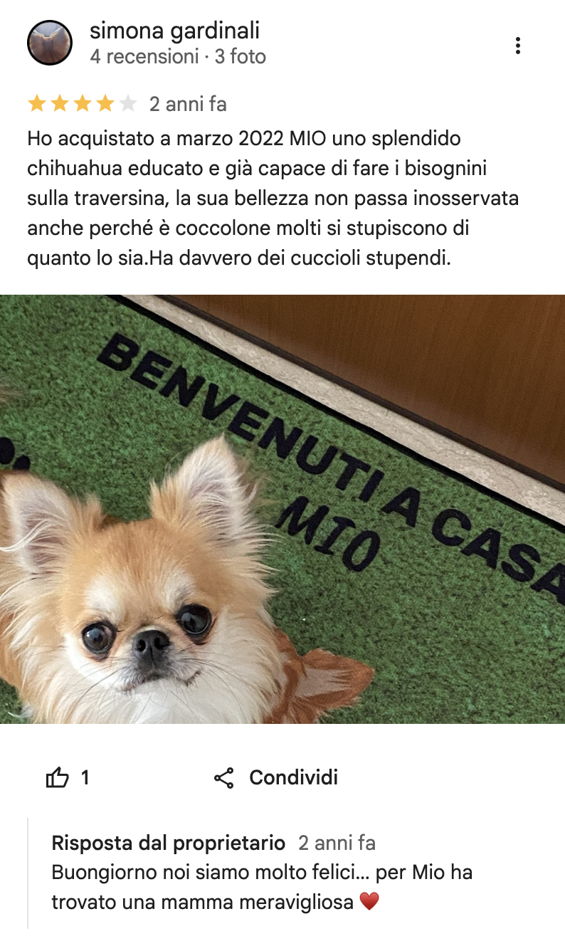 Recensione cliente Fashion Dog Boutique • Rivoli