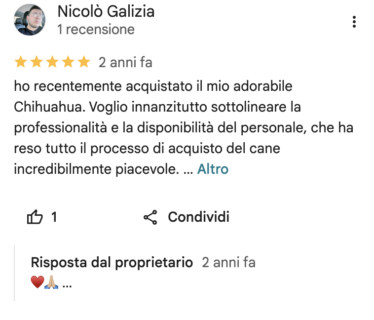 Recensione cliente Fashion Dog Boutique • Rivoli